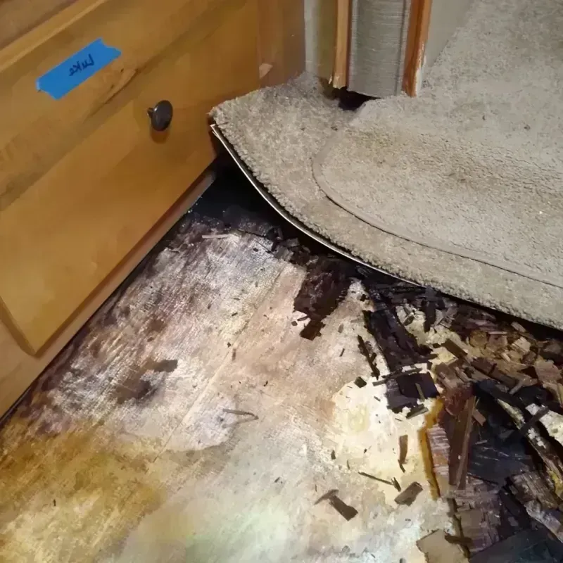 Best Wood Floor Water Damage Service in Wakeman, OH